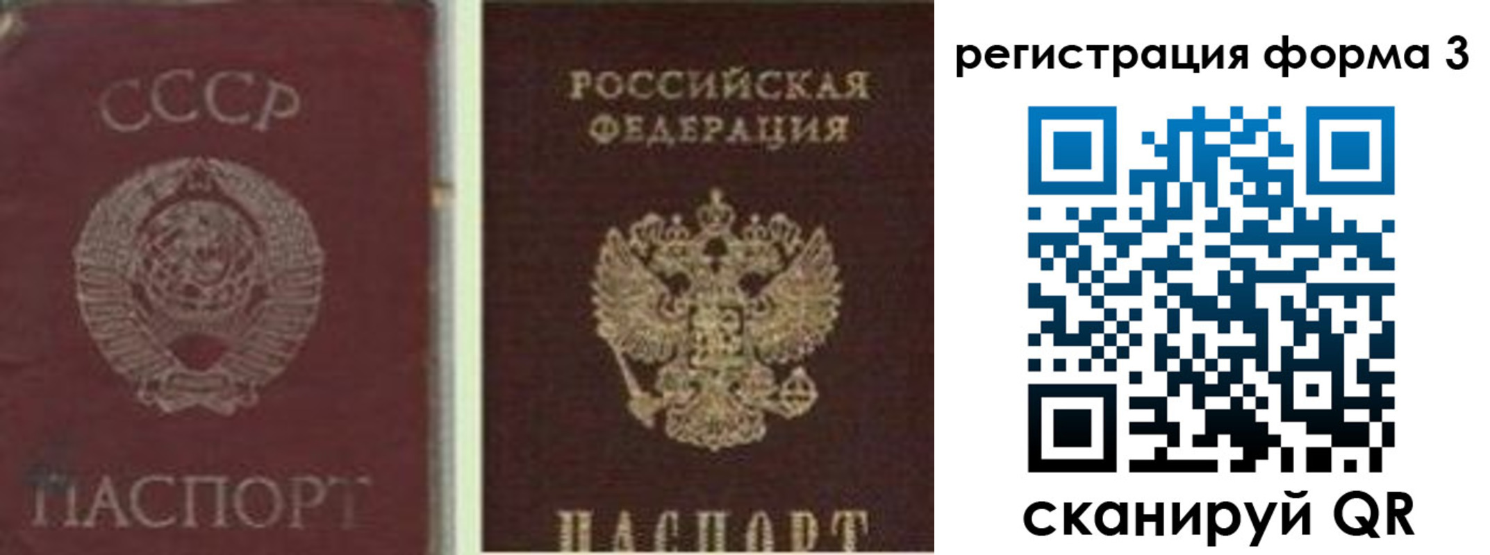 прописка для школы в Александрове